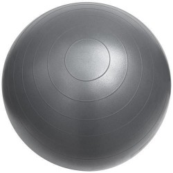 Sportera fitnesa bumba 95 cm