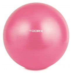 Toorx vingrošanas bumba AHF-069 D55cm with pump
