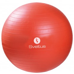 Sveltus fitnesa bumba Anti burst 55 cm, orange + box