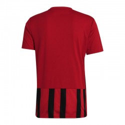 Adidas Striped 21 vīriešu GV1381 T-krekls