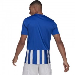 Adidas T-krekls Striped 21 JSY vīriešu GH7321