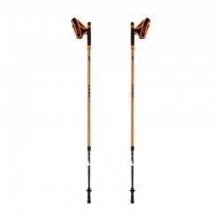 Alpinus Kungsleden NX43603 nūjošanas nūjas