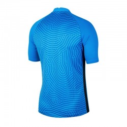Nike Gardien III GK vīriešu Goalkeeper Shirt vīriešu BV6714-477