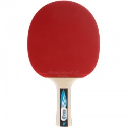 Donic galda tenisa rakete OVTCHAROV 900 754415 RACKET