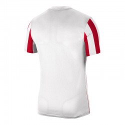 Nike Striped Division IV vīriešu CW3813-104 futbola krekls