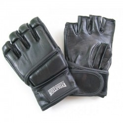 Evolution MMA cimdi RM-200-10