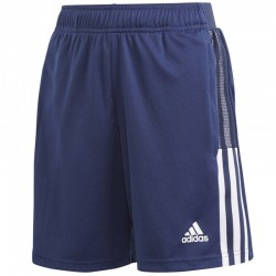 Adidas Tiro 21 Training Junioru GK9681 šorti