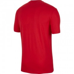 Nike T-krekls Poland T-krekls Evergreen Crest vīriešu CU9191 611