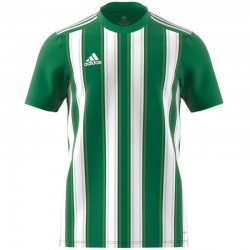 Adidas T-krekls Striped 21 JSY vīriešu H35644